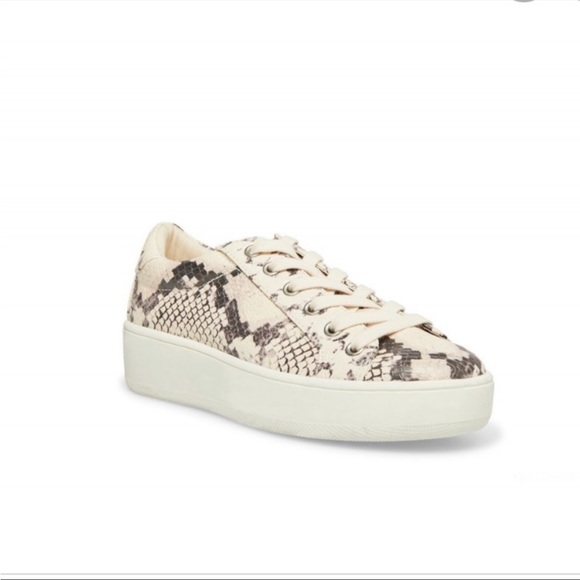 Steve Madden Shoes - Steve Madden Platform ‘Bertie’ Python Tennis Shoes Sneakers Lace-Up - Size 8 M
